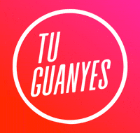 Politica Elecciones GIF by Diana Morant