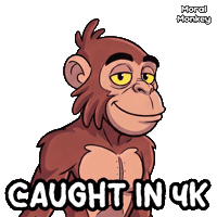 Got You Monkey Sticker by VeeFriends