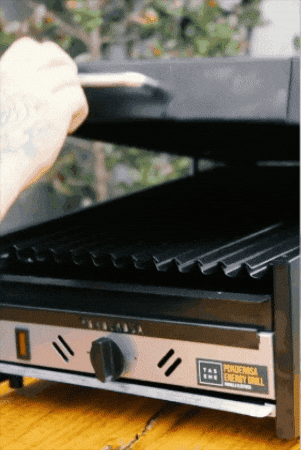 GIF animado