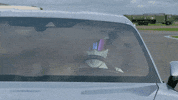 Driving Racing Driver GIF by Top Gear