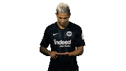 Eintracht Frankfurt Reaction Sticker by Bundesliga
