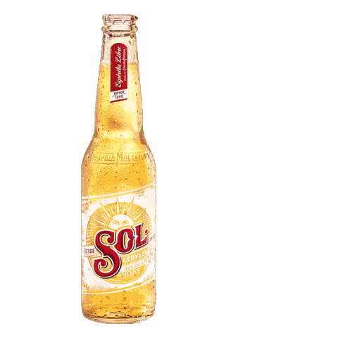 mexico cerveza Sticker by Sol Beer