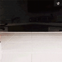 hot dog ketchup GIF