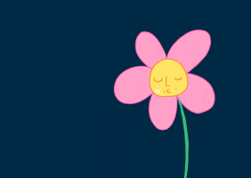 Pink Flower GIF by Jess
