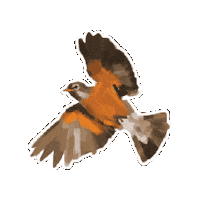 Bird Fly Sticker by NYU Faculty Housing