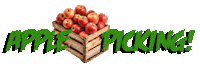 Apple Pie Apples Sticker