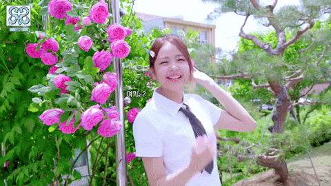 H2H GIF