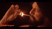 Kichcha Brigade GIF