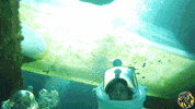 jagger eaton's mega life adventure GIF by Nickelodeon