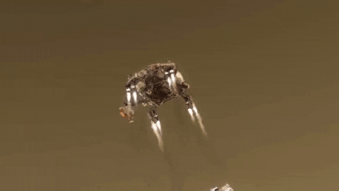Landing Mars Rover GIF by NASA