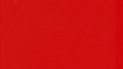 Con Mucho Acento GIF by Cruzcampo