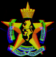 forzaecostanzabs judo forzaecostanzabs fec1886 GIF