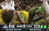 ducks GIF by SB Nation