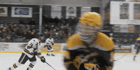 Golden Bears Check GIF by Hockeyland