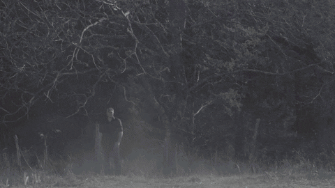 Redfoxbennaton giphyupload country gods GIF
