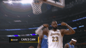 excited lebron james GIF by NBA