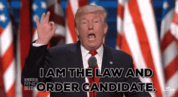 Donald Trump Rnc GIF by Election 2016