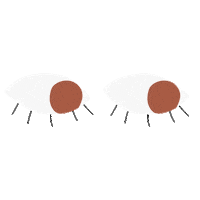 suspicious eyes Sticker by Vit Vieira