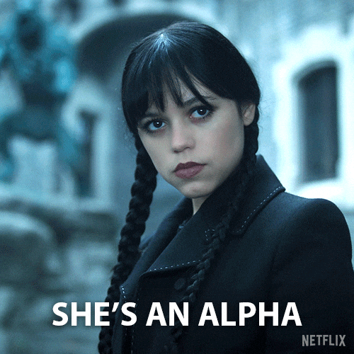 Wednesday GIF by NETFLIX