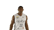 Basketball Basket Sticker by Lions de Genève