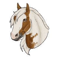Elegna cheval elegnadessins irishcob Sticker