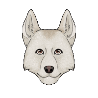 Dog Chien Sticker