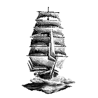 Cocktail Wind Sticker by Henkell Freixenet