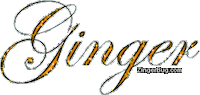 ginger STICKER