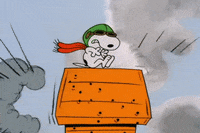 Charlie Brown Halloween GIF by Peanuts