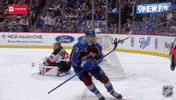 Happy Colorado Avalanche GIF by NHL