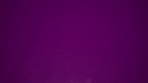 beyondthelogo giphyupload GIF