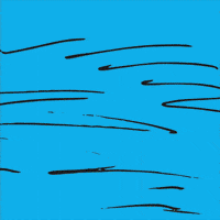 christian_lindfors cat aquariumusic black cat ep recluse raccoon GIF