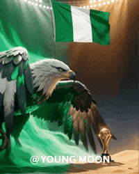 Birds Eagle GIF