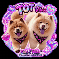 Chow Chow Tongue Out GIF