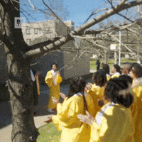 Season 3 Xula GIF by BET Plus