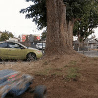 Backflip GIF