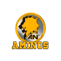 Bcaa Sticker by American Nutrition