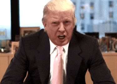 joerocco giphyupload GIF
