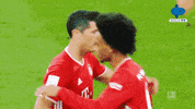 Germany Bundesliga GIF by MolaTV