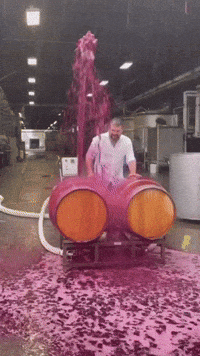 Week-End Vin GIF by systaime