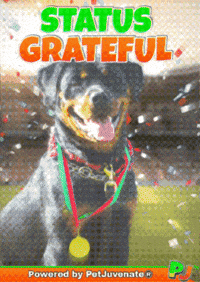 PetJuvenate petjuvenate henlo hooman fren love rescue dogs treatos and woofer for pupper GIF