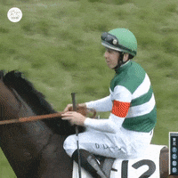 Happy Dance GIF by World Horse Racing
