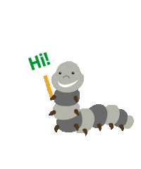 Caterpillar Sticker by Insect Lore