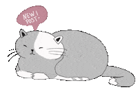 Cat New Post Sticker