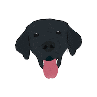 Dog Pet Sticker