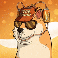 Party Hat GIF by Doge Pound