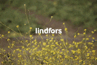 christian_lindfors  GIF