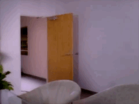 prince the same december GIF