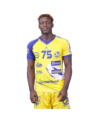 Proligue Celebrating Sticker by SARREBOURG HANDBALL