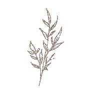 Flower Sticker